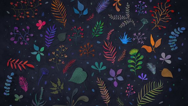 Botanical Illustration Wallpaper