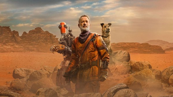 Finch: Ultra HD Desert Odyssey