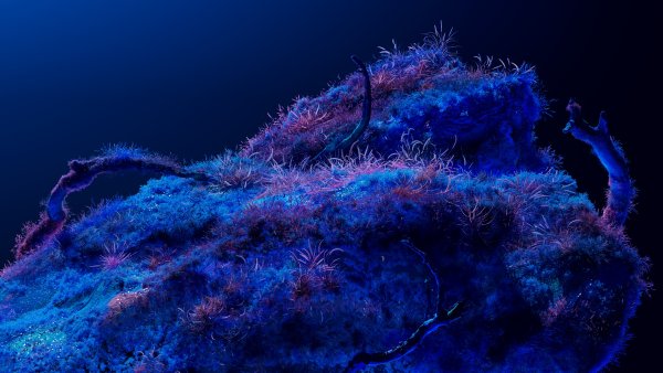 Bioluminescence Neon art Wallpaper