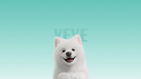 Samoyed Cute dog Wallpaper