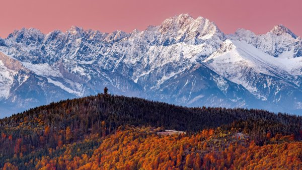 Tatra Mountains Autumn Forest Wallpaper