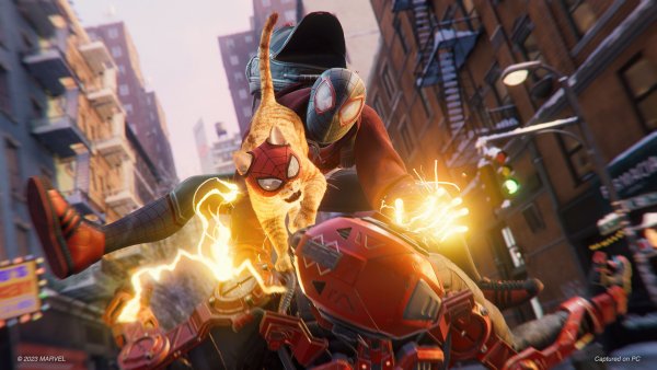 Spider-Cat Spider-Man: Miles Morales Wallpaper