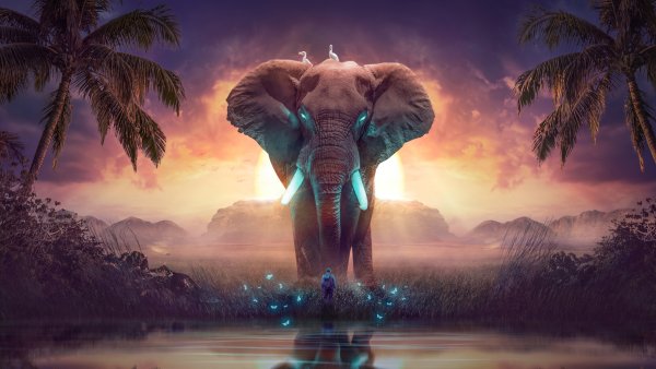 Elephant Dream Wallpaper