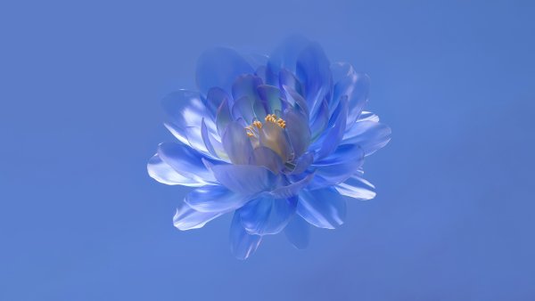 Abstract flower Blue aesthetic Wallpaper