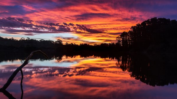 Sunset over a lake with trees Wallpaper