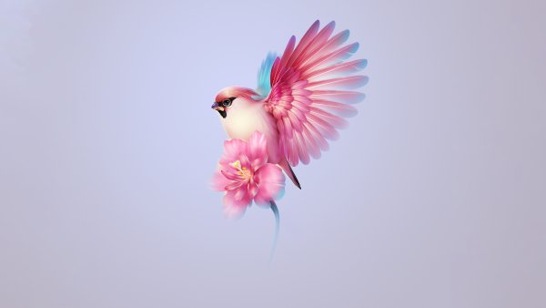 Bohemian waxwing Aesthetic Wallpaper
