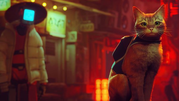 Stray PlayStation 5 Wallpaper