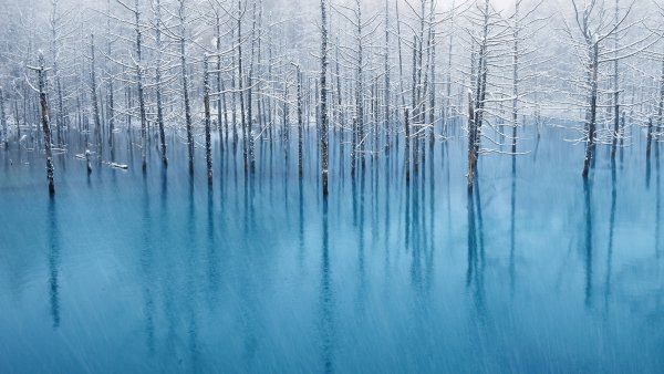 OS X Mountain Lion Winter Wallpaper