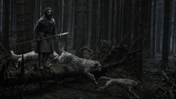 Forest Alpha — Werewolf 4K Ultra HD Wallpaper