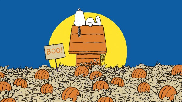 Snoopy Halloween Pumpkins Wallpaper