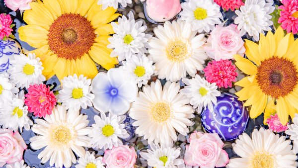 Colorful Flower bouquet Wallpaper