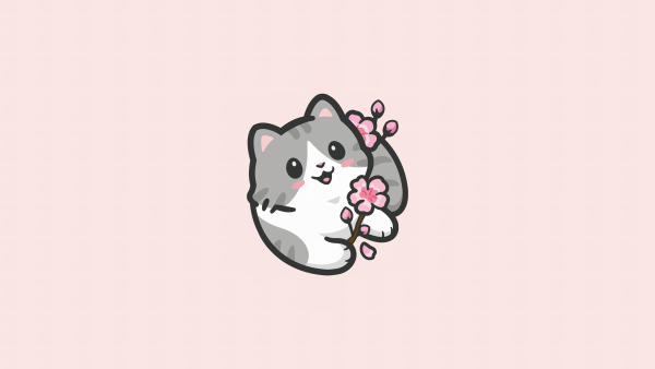 Cute Kitten Cute Cat Wallpaper