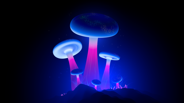 Glowing Mushrooms Wallpaper