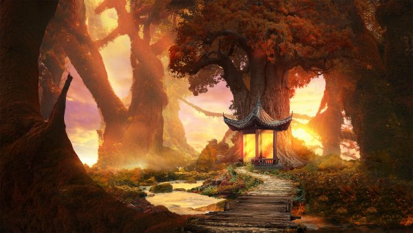 Enchanting Forest Wallpaper
