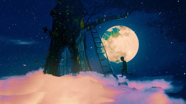 Tree house Dream Wallpaper