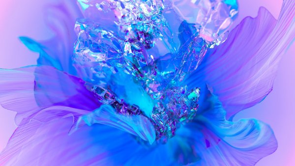 Purple Flower Digital Art Wallpaper