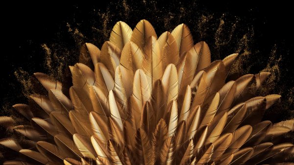 Golden Peacock feathers Wallpaper