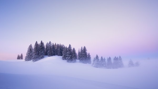 Winter Snow covered Wallpaper
