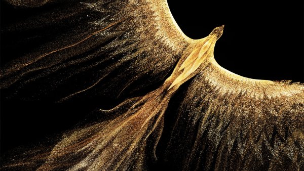 Phoenix Fire bird Wallpaper