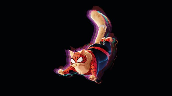 Spider-Cat 8K Wallpaper