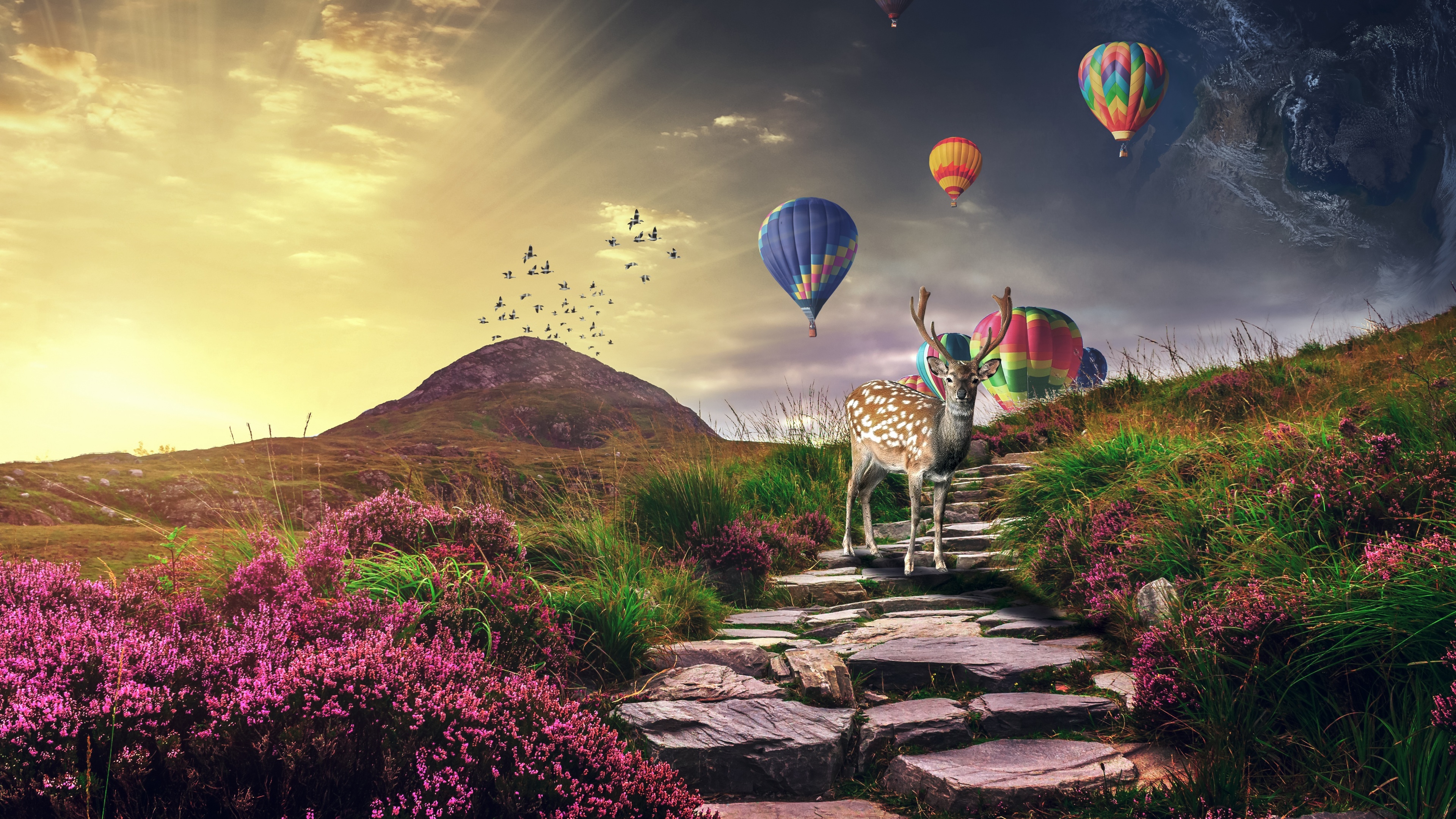 Deer Hot air balloons Wallpaper
