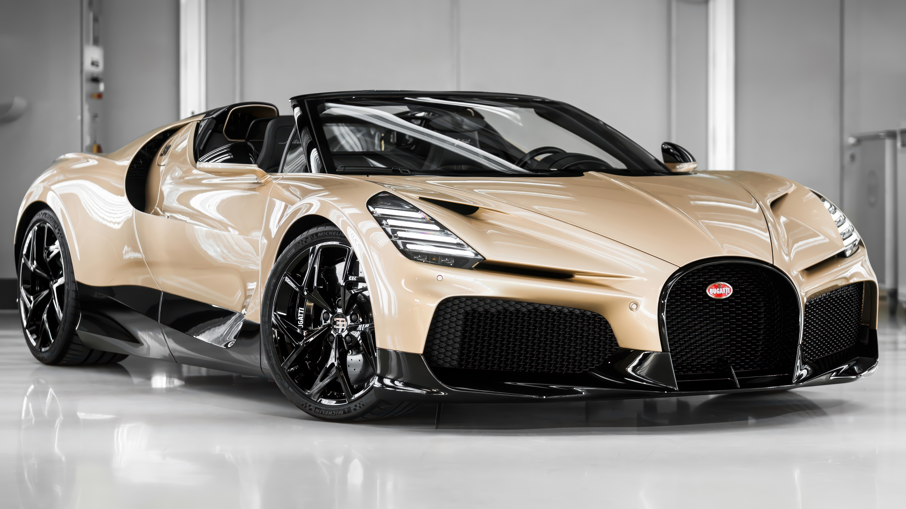 Bugatti W16 Mistral Bespoke Wallpaper