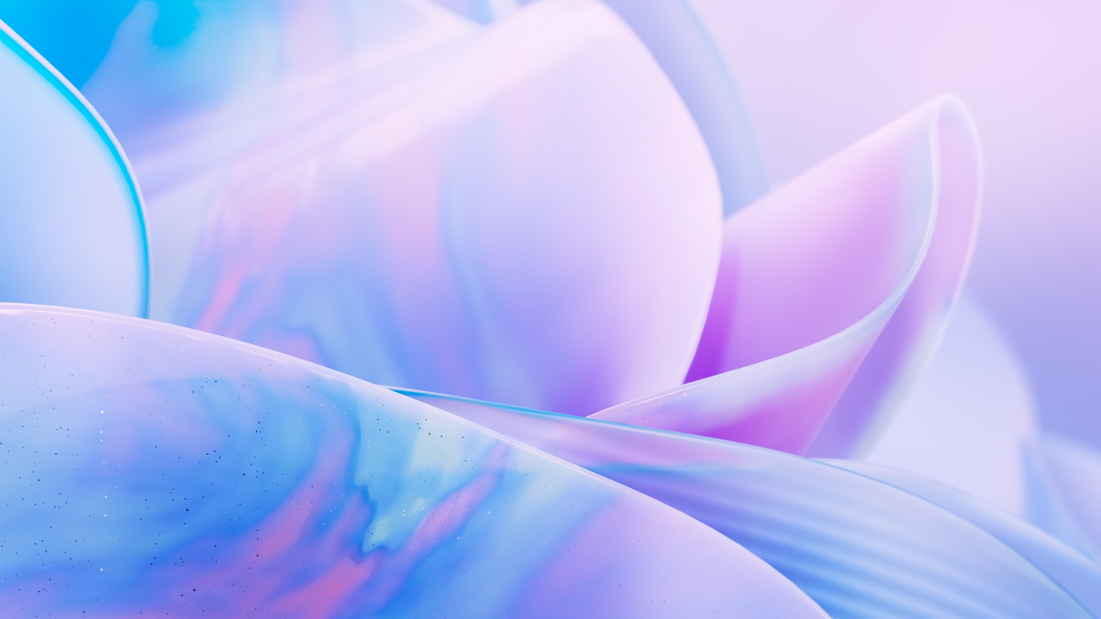 Translucent Petals Wallpaper