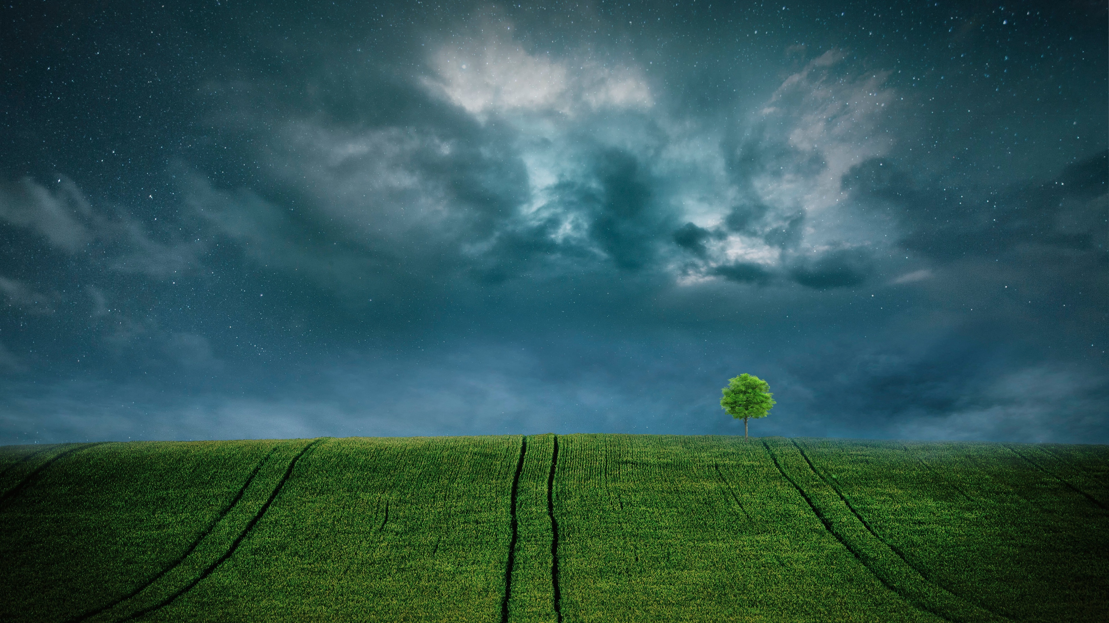 Landscape Lone tree Wallpaper