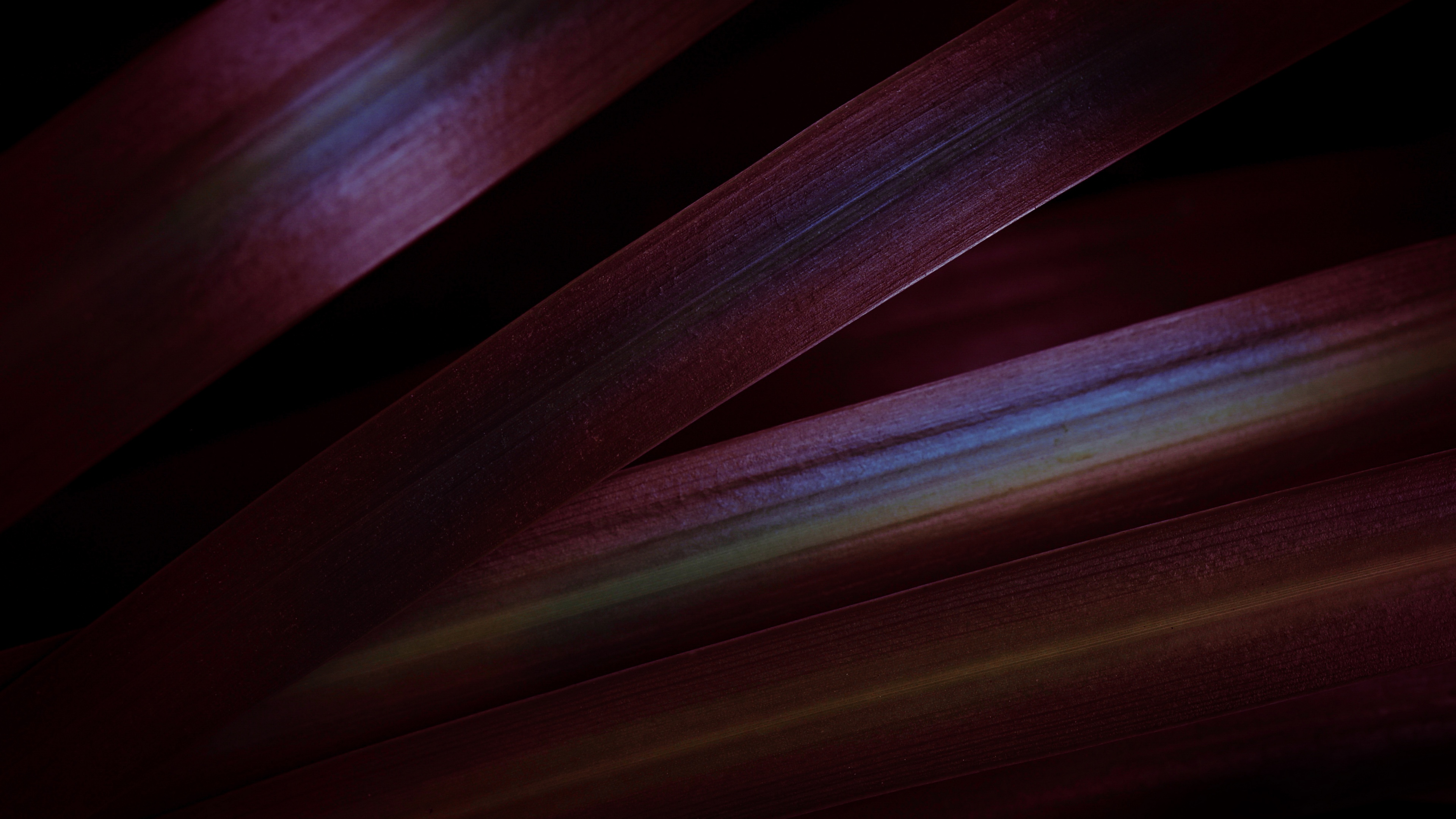 Red leaves Aesthetic Wallpaper