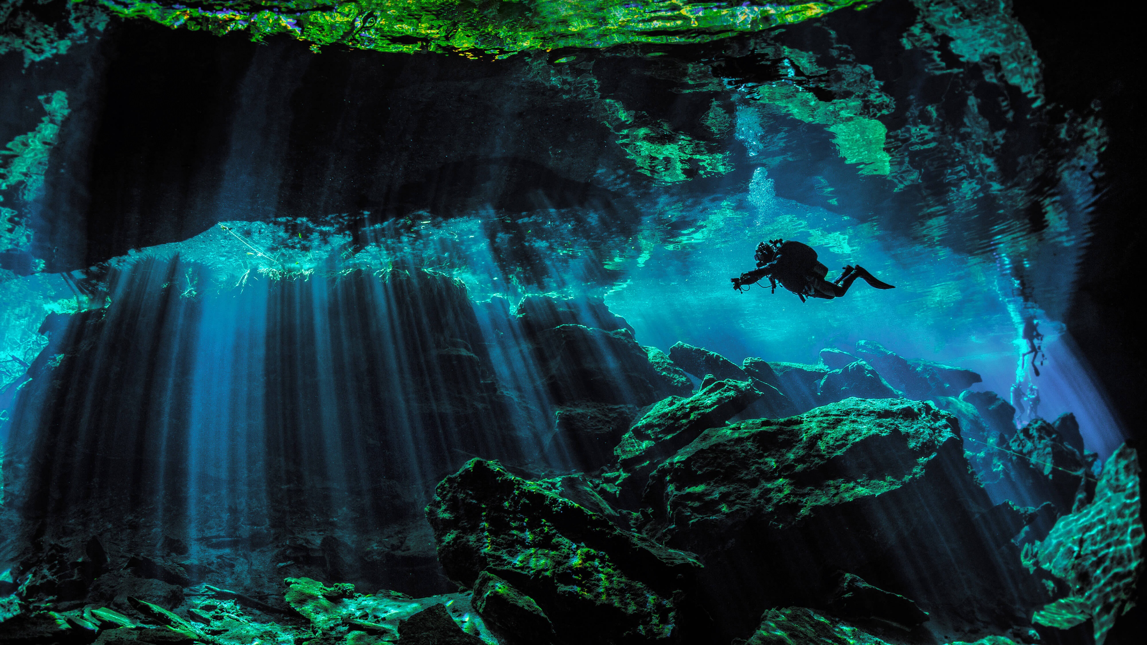 Scuba Diver Underwater Wallpaper