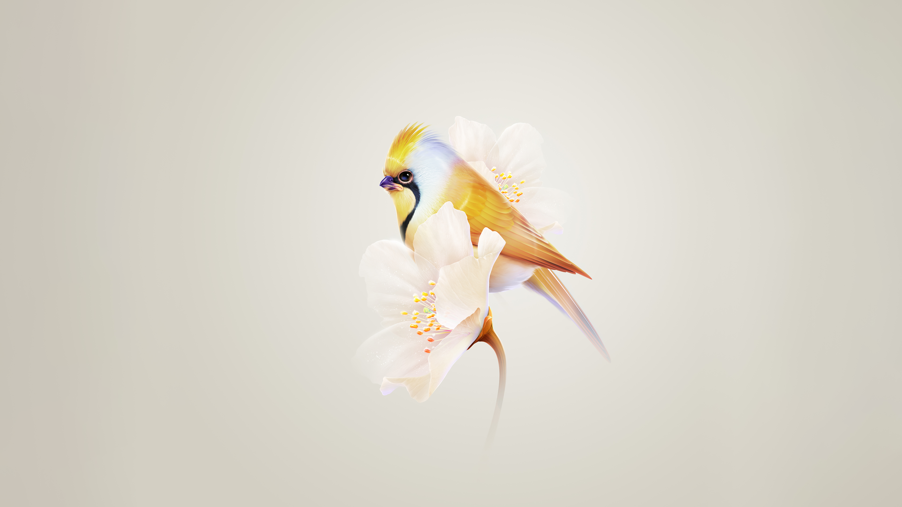 Pretty Hummingbird Wallpaper