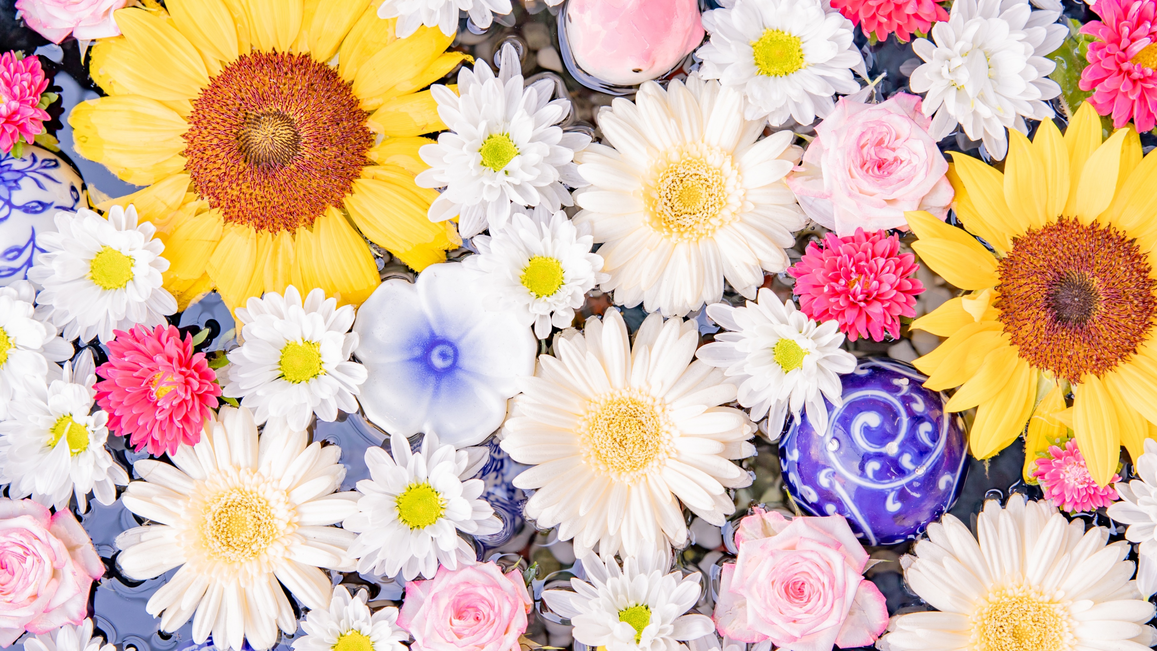Colorful Flower bouquet Wallpaper