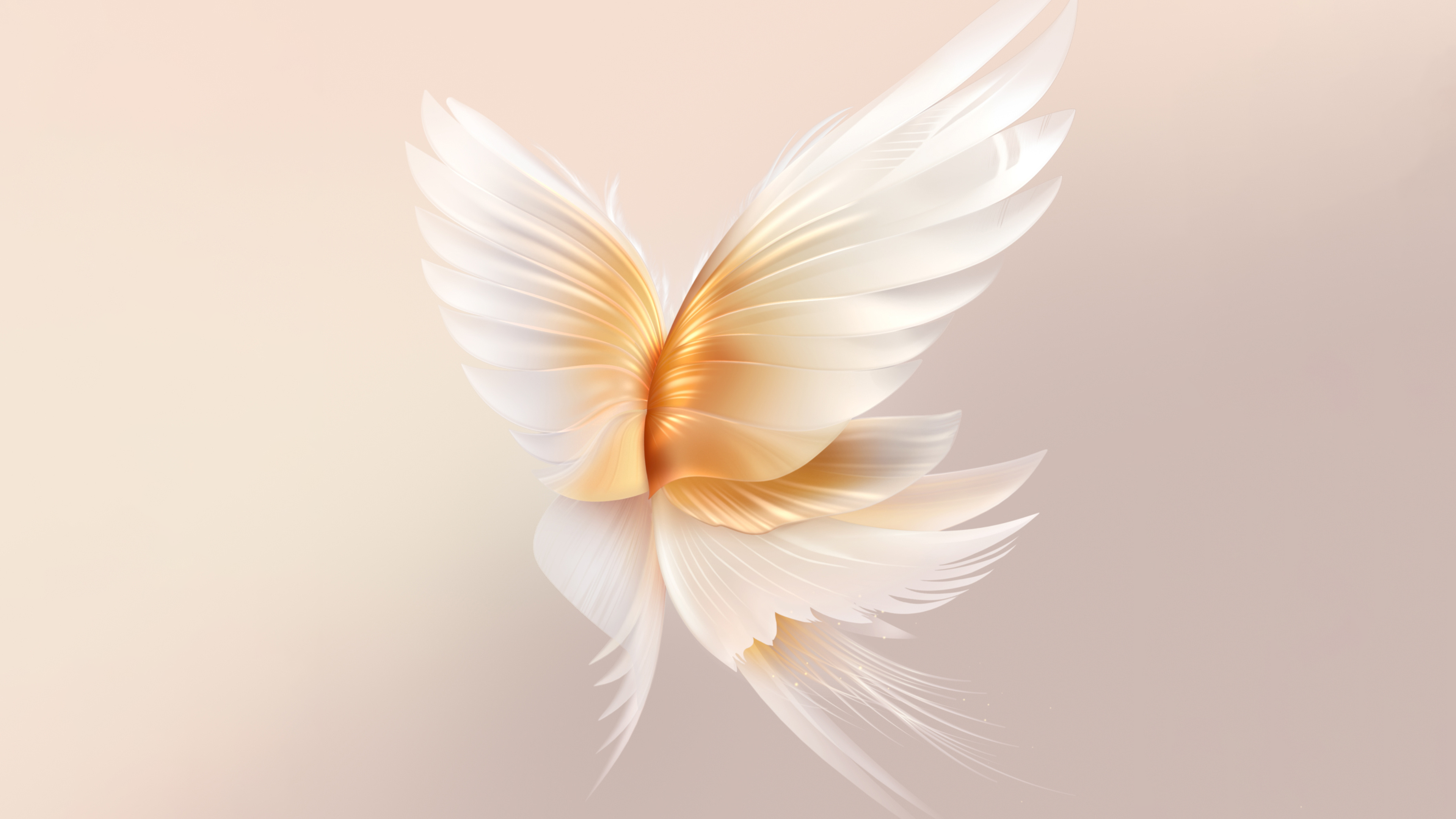 Angel wings Peach background Wallpaper