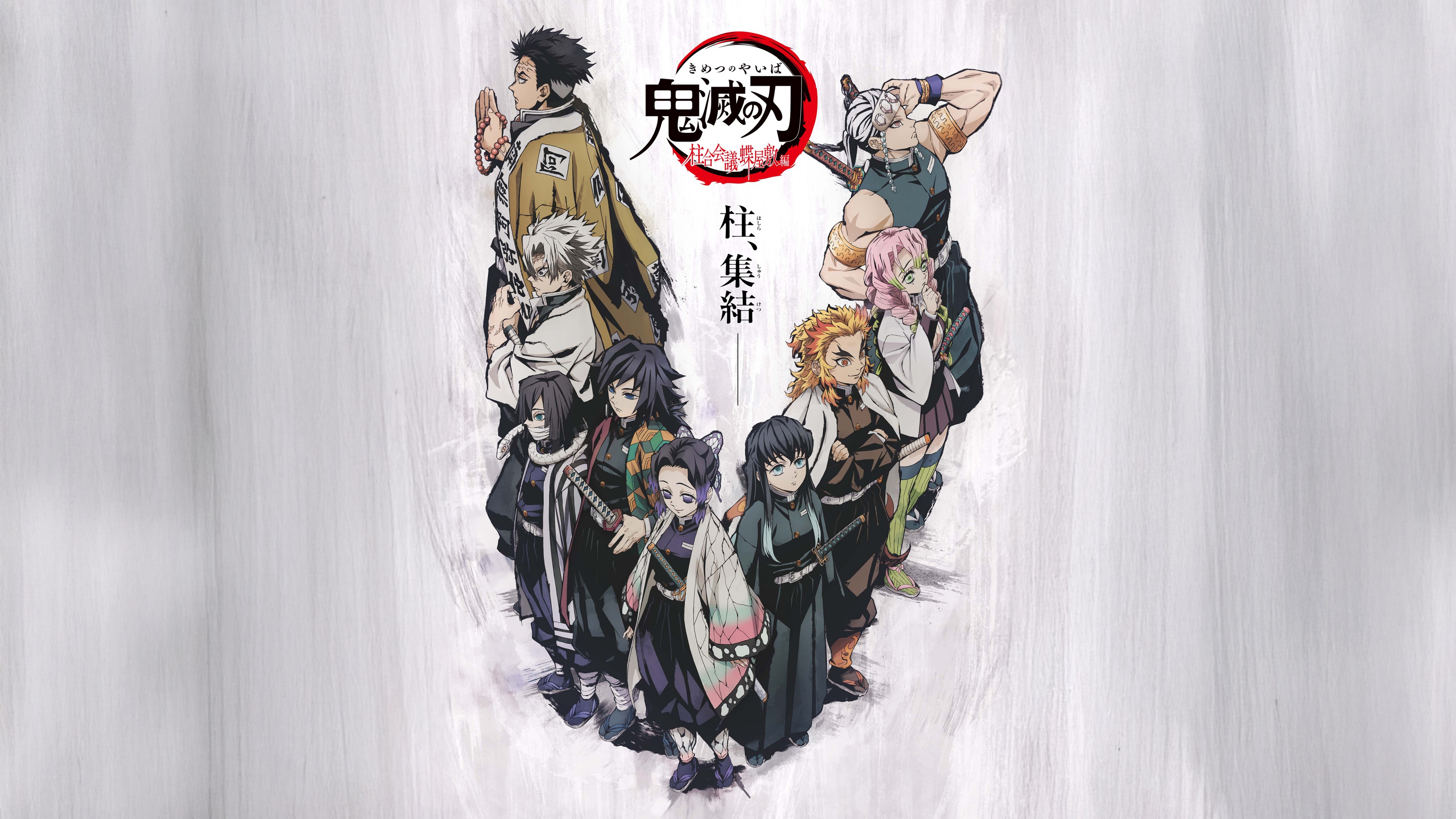 Demon Slayer: Kimetsu no Yaiba - The Hashira Meeting Arc Wallpaper