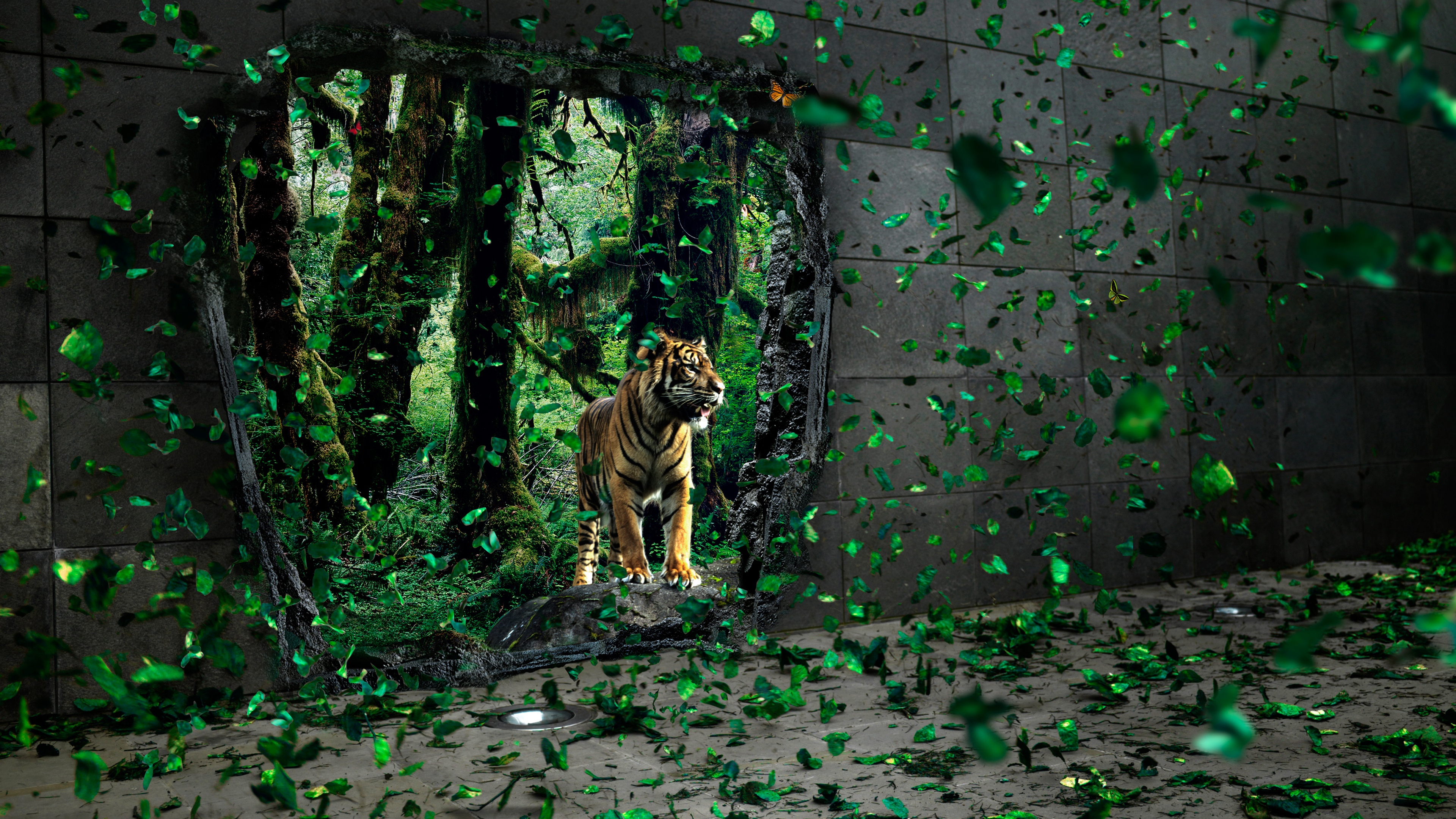Tiger Mystical Forest Wallpaper