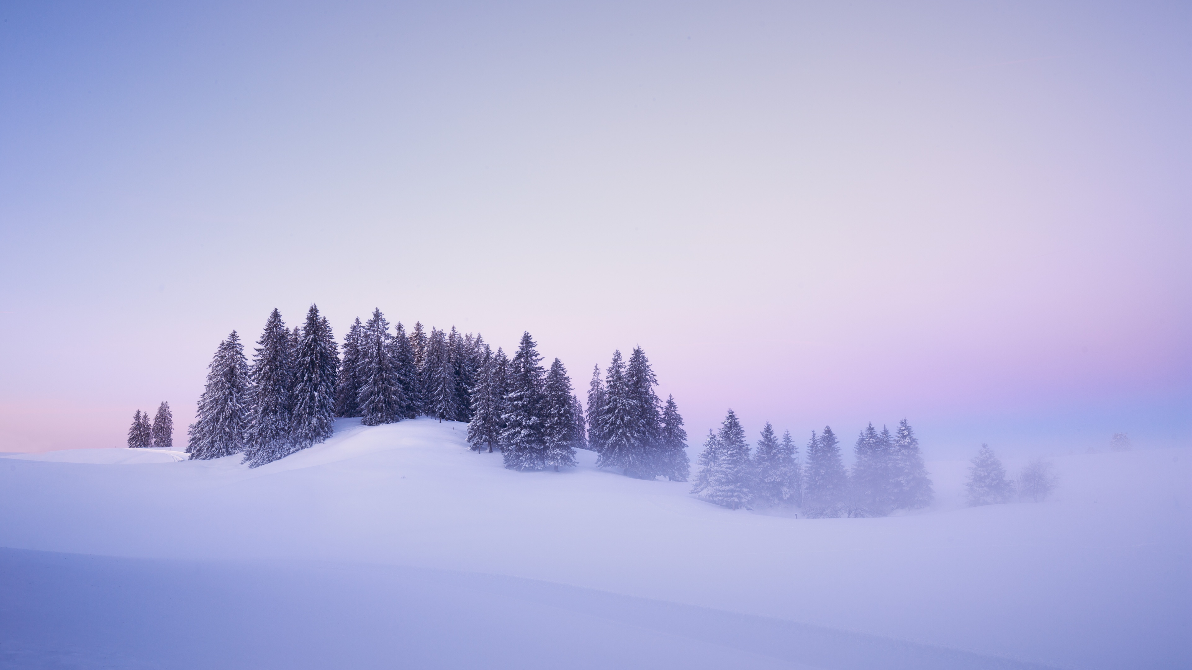 Winter Snow covered Wallpaper